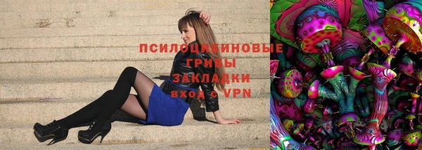 ПСИЛОЦИБИНОВЫЕ ГРИБЫ Зеленодольск