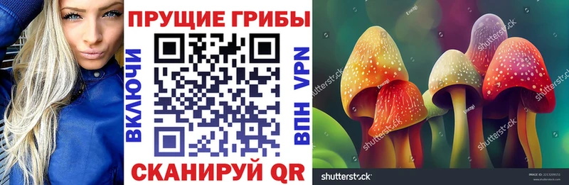 цены   Добрянка  Галлюциногенные грибы GOLDEN TEACHER 